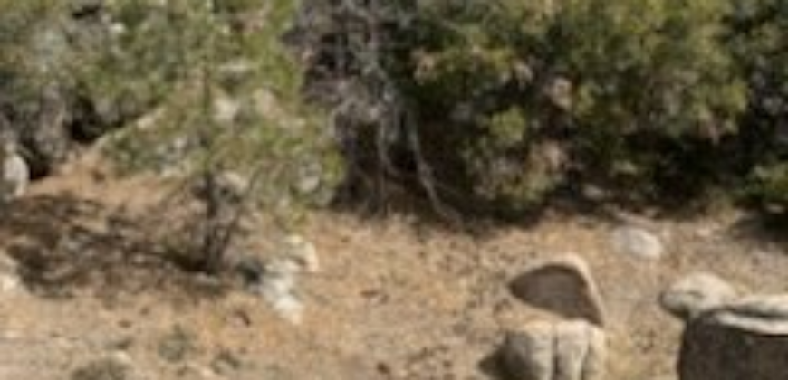 Mountain Getaway Vacant lot for Sale in Arrowbear Lake, Running Springs,CA